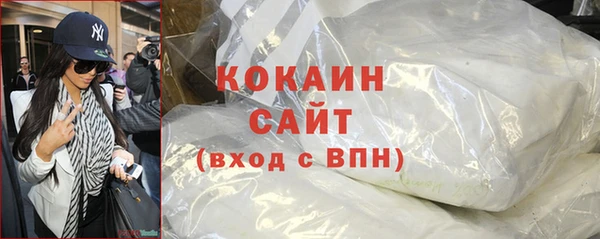 крисы Надым