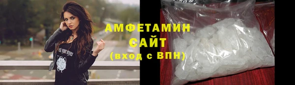 крисы Надым