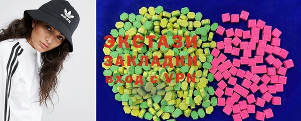 крисы Надым