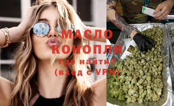крисы Надым