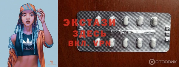 крисы Надым