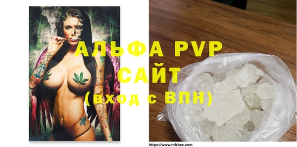 крисы Надым