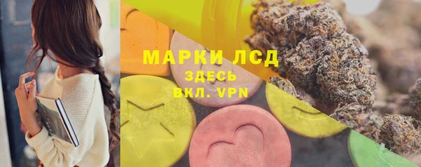 крисы Надым