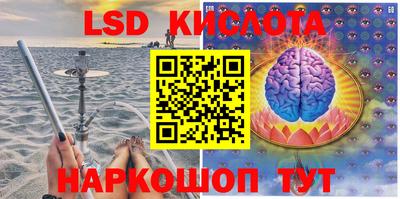 спайс Малгобек