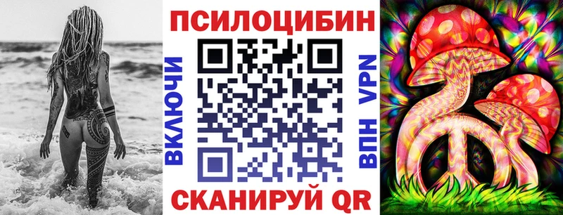 Псилоцибиновые грибы GOLDEN TEACHER  Купить закладки  Серов 