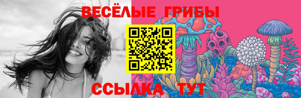 Серов  Галлюциногенные грибы Psilocybe  Вход с VPN 