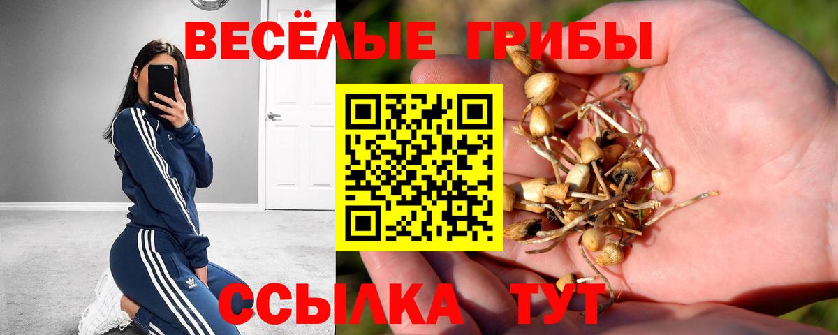 Псилоцибиновые грибы прущие грибы  Галлюциногенные грибы Magic Shrooms  Серов 