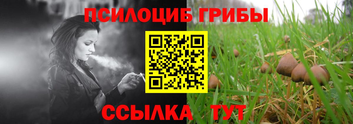 ГАШ Серов